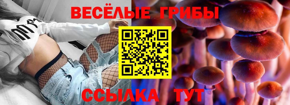 Галлюциногенные грибы Cubensis  Псилоцибиновые грибы Magic Shrooms  Вход с VPN  Мытищи 